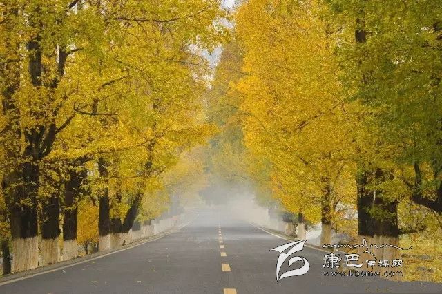 康定新都橋，有一條黃金大道通往夢中的天堂