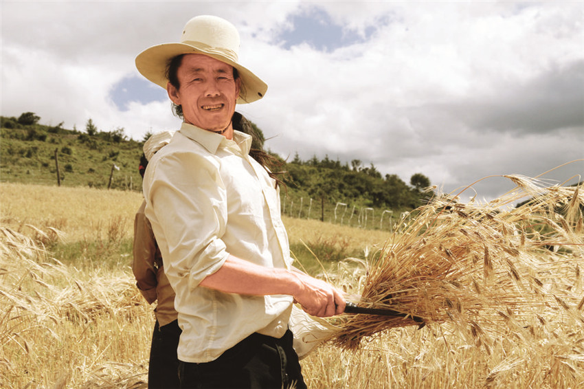 喜獲豐收.jpg 喜獲豐收.jpg