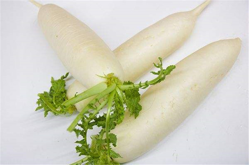 冬吃蘿卜.jpg 冬吃蘿卜.jpg