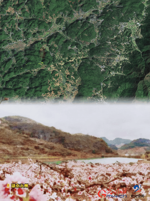 清明游玩賞花圖鑒來(lái)了！衛(wèi)星鏡頭帶你先睹為快